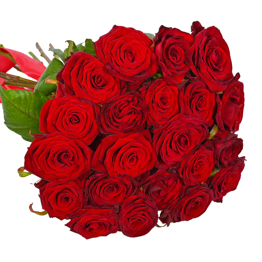 (TEST) Bouquet of 21 red roses